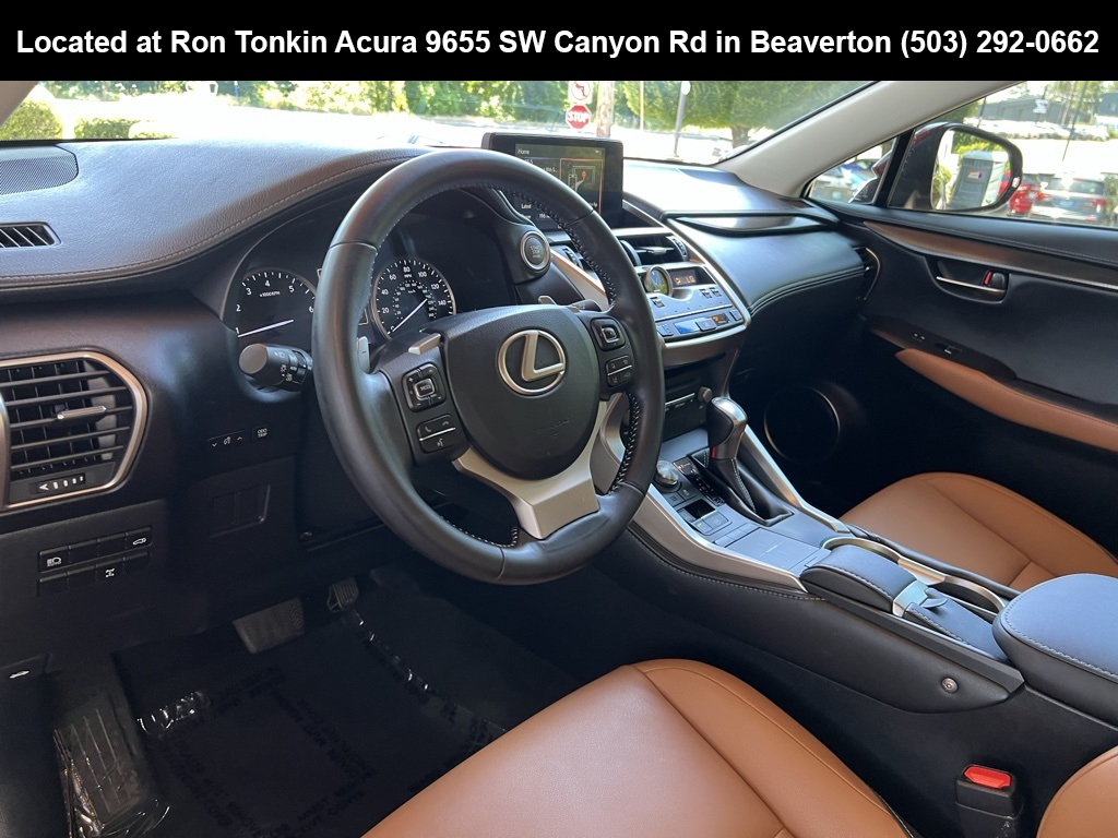 2018 Lexus NX 300 Luxury photo 13