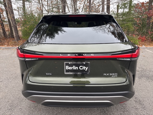 2025 Lexus RX 350 Premium AWD photo 4