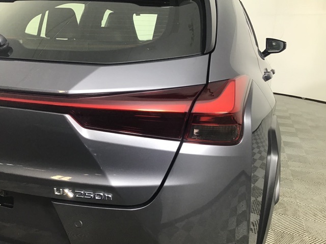 2021 Lexus UX 250h F SPORT photo 17