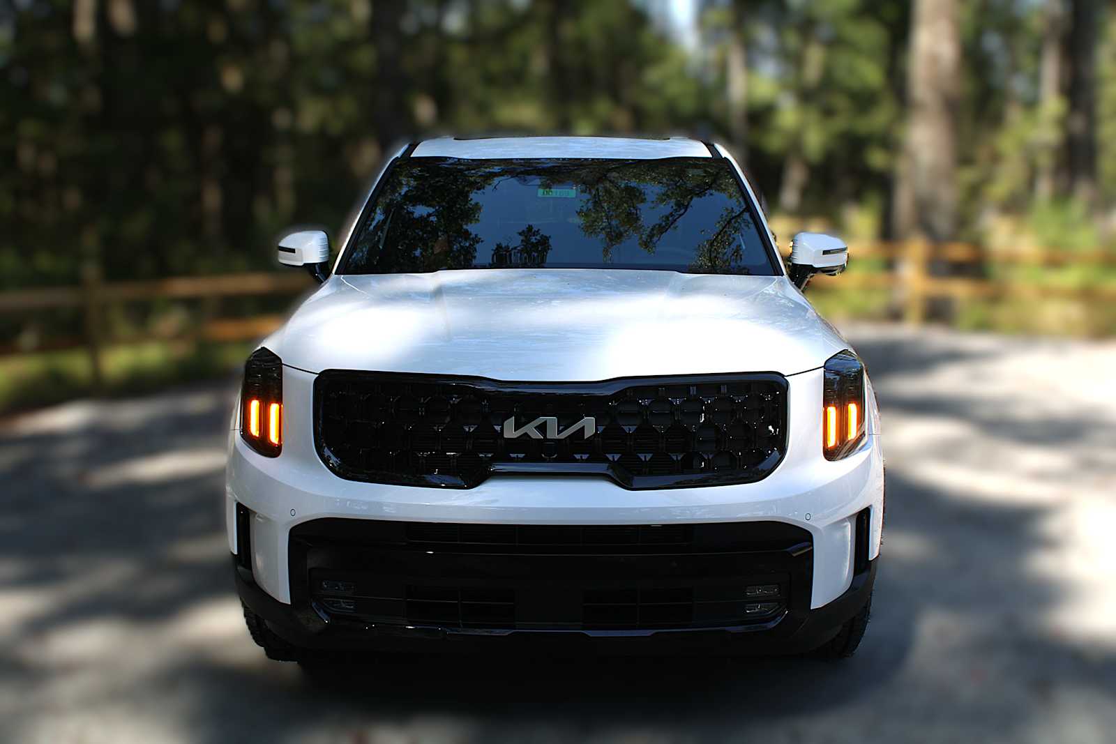 2025 Kia Telluride SX X-Line photo 16