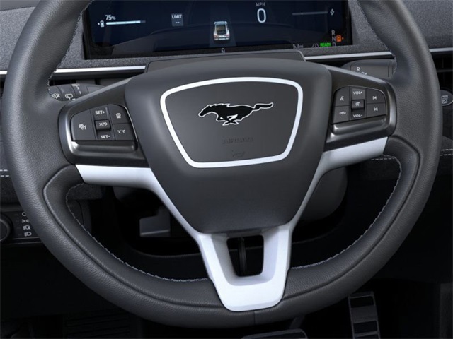 2025 Ford Mustang Mach-E GT photo 8