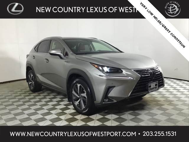 2020 Lexus NX 300's photo