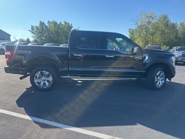 2022 Ford F-150 Platinum photo 8