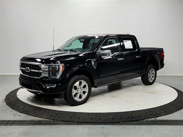 2023 Ford F-150 Platinum photo 3