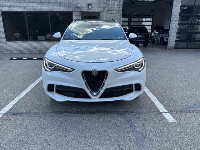 2018 Alfa Romeo Stelvio Quadrifoglio photo 2