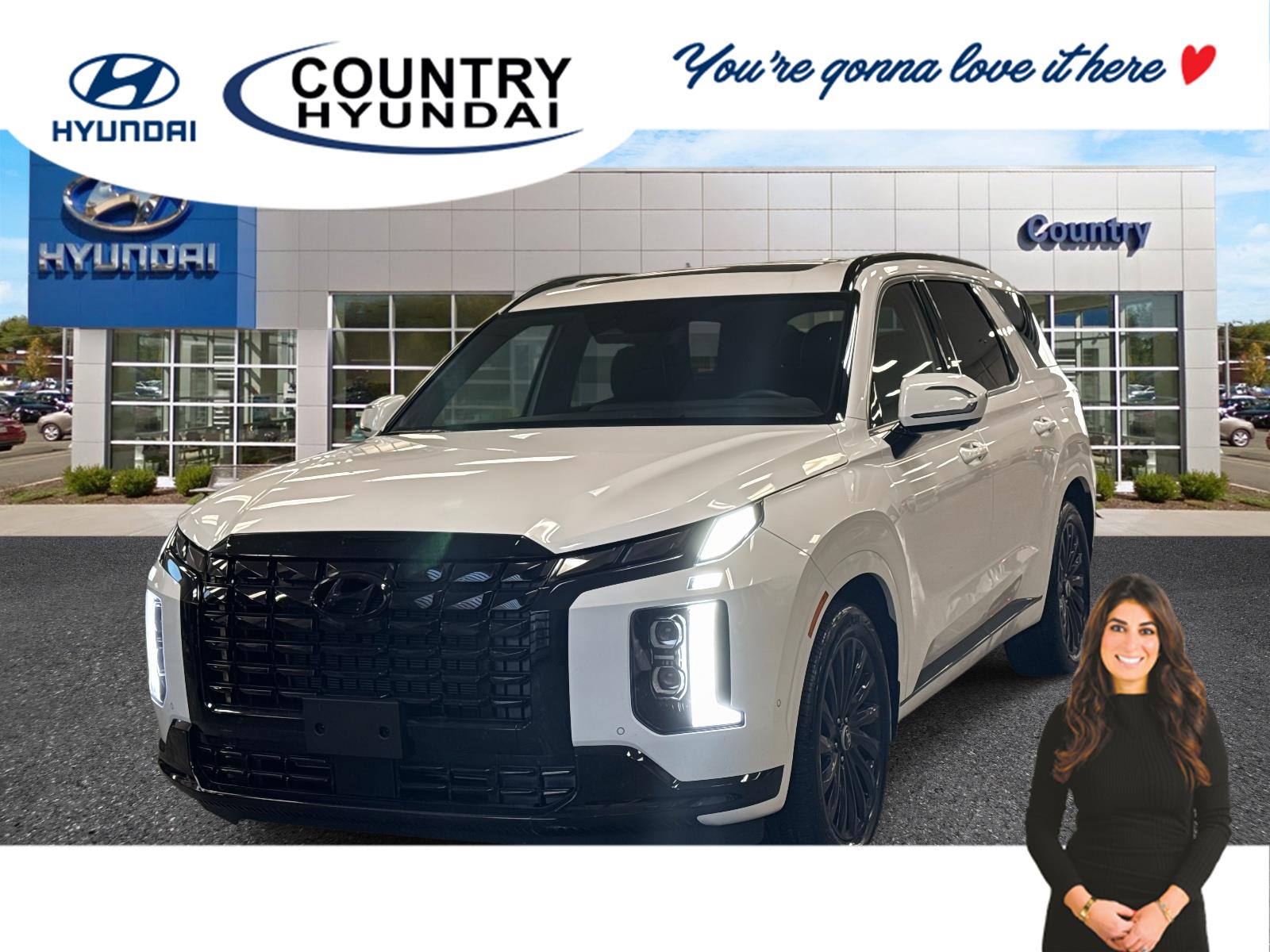 2025 Hyundai Palisade Calligraphy Night Edition's photo