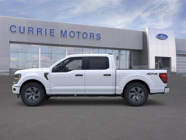 2025 Ford F-150 STX photo 3