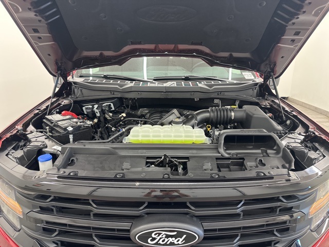 2025 Ford F-150 XLT photo 2