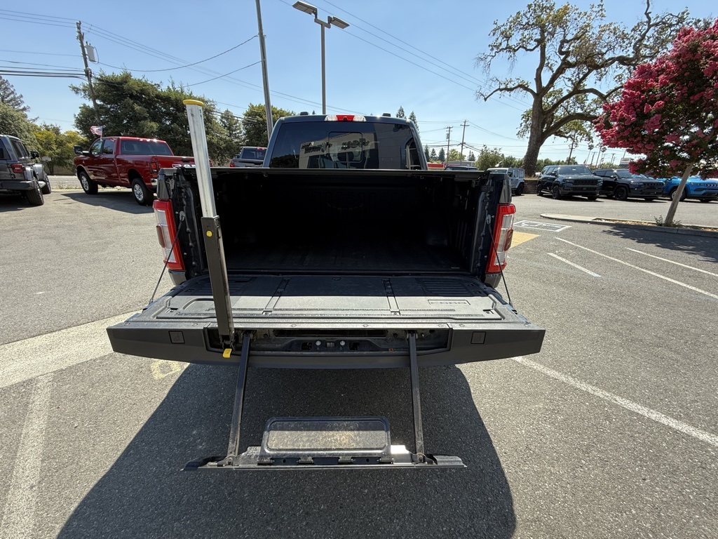 2021 Ford F-150 Platinum photo 22