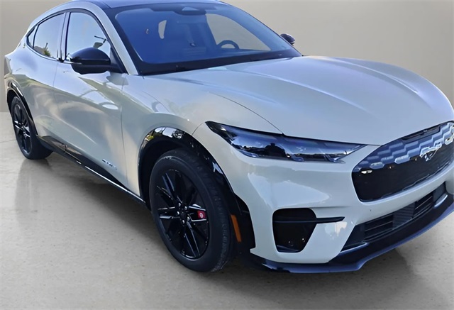 2025 Ford Mustang Mach-E Premium photo 2