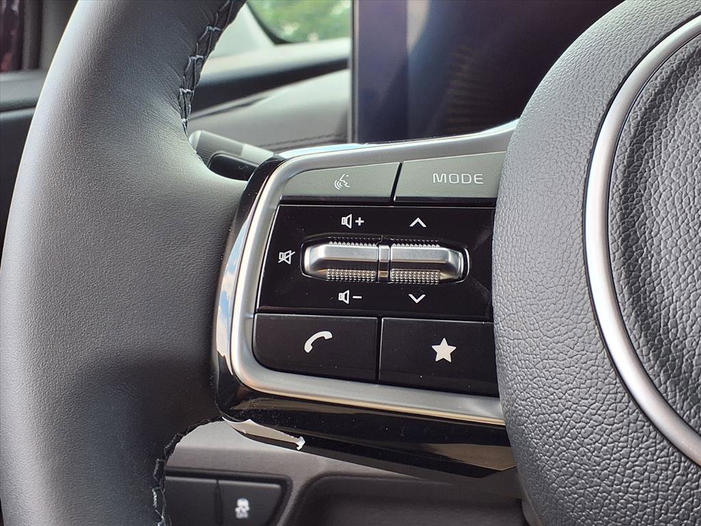 2026 Kia Carnival EX photo 19
