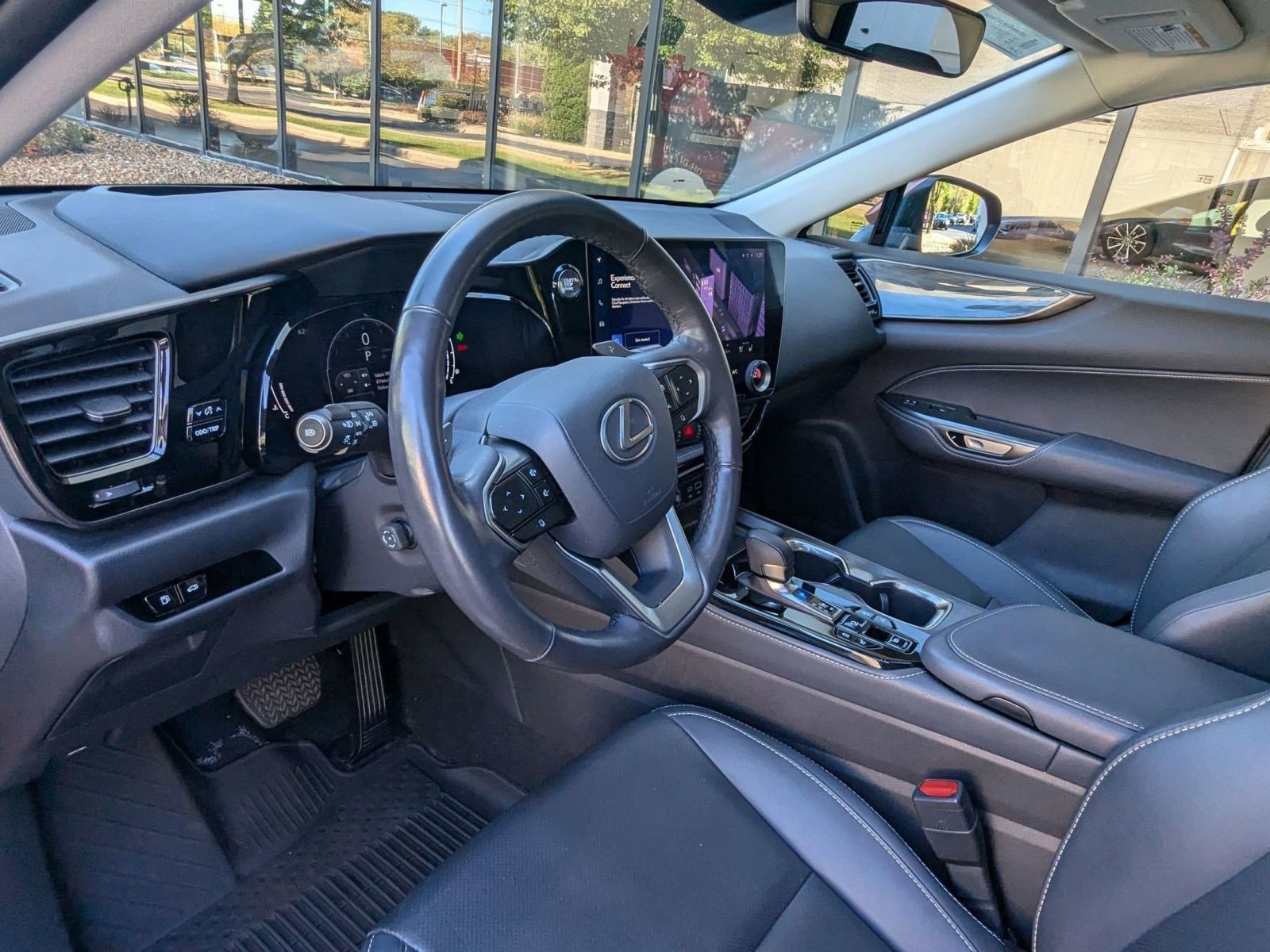 2025 Lexus NX 250 Premium photo 3