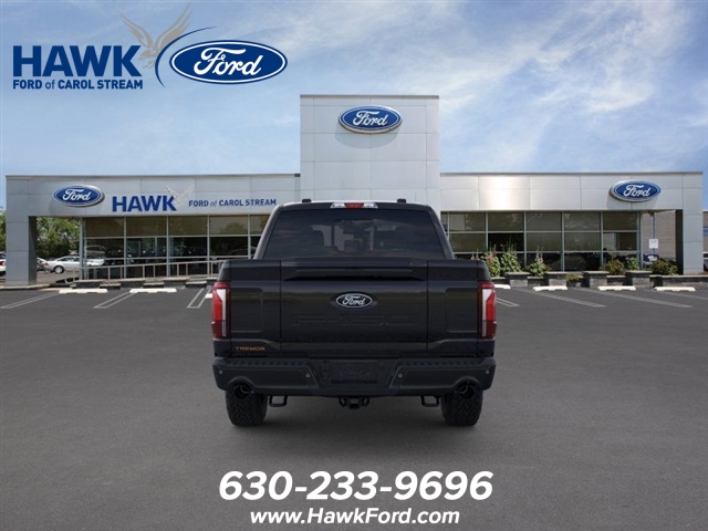 2025 FORD F-150 - Image 5