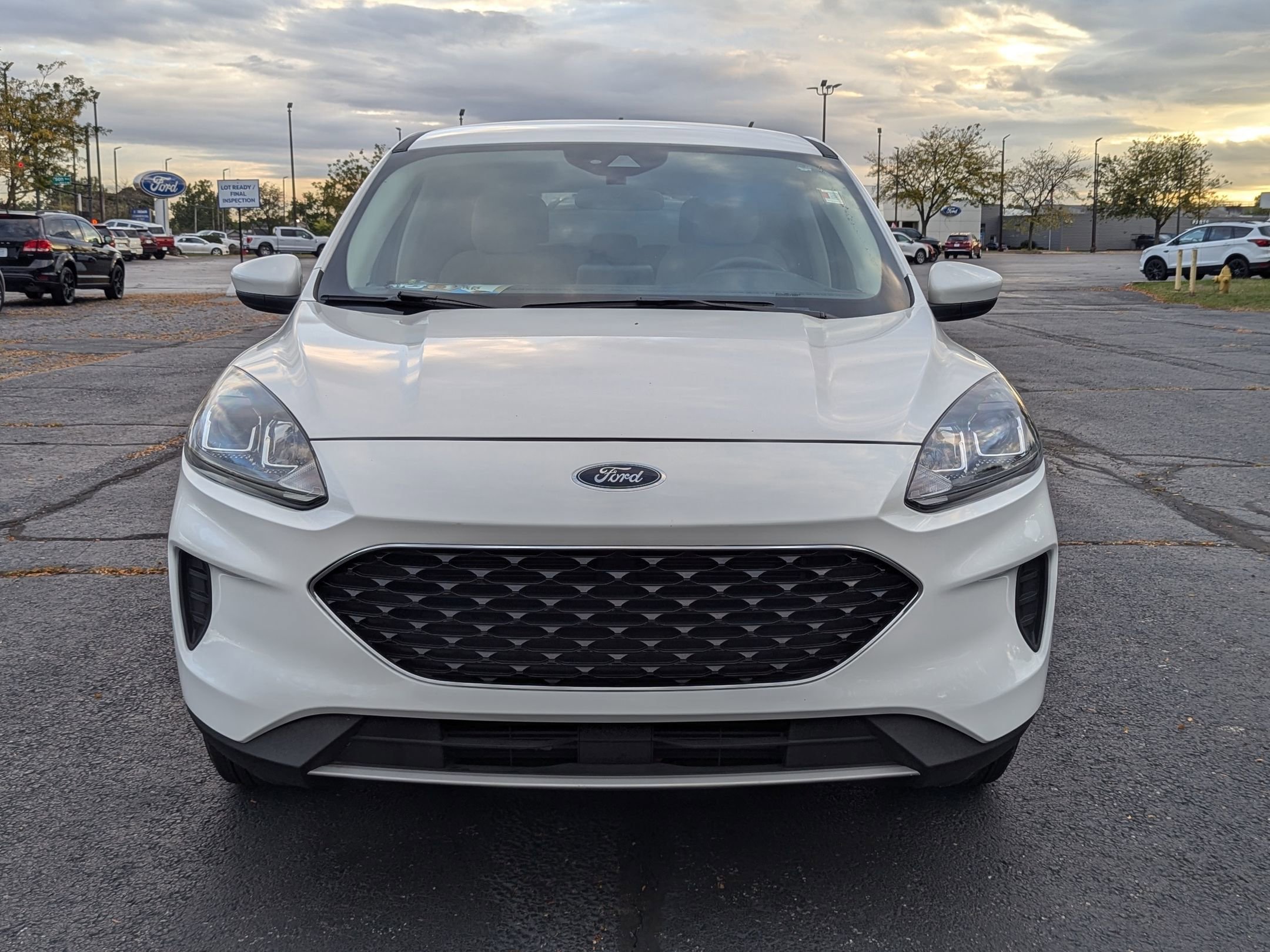 2020 Ford Escape SE photo 4