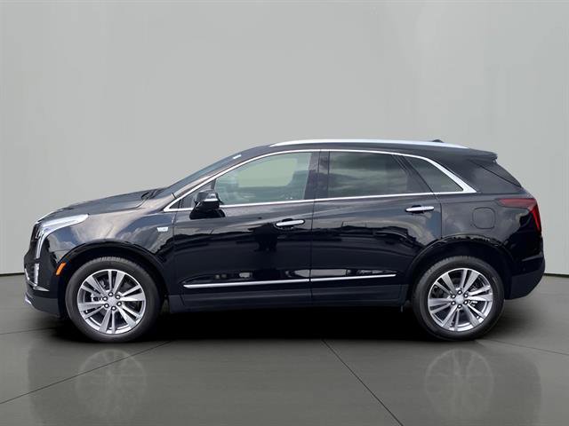 2025 Cadillac XT5 Premium Luxury photo 2