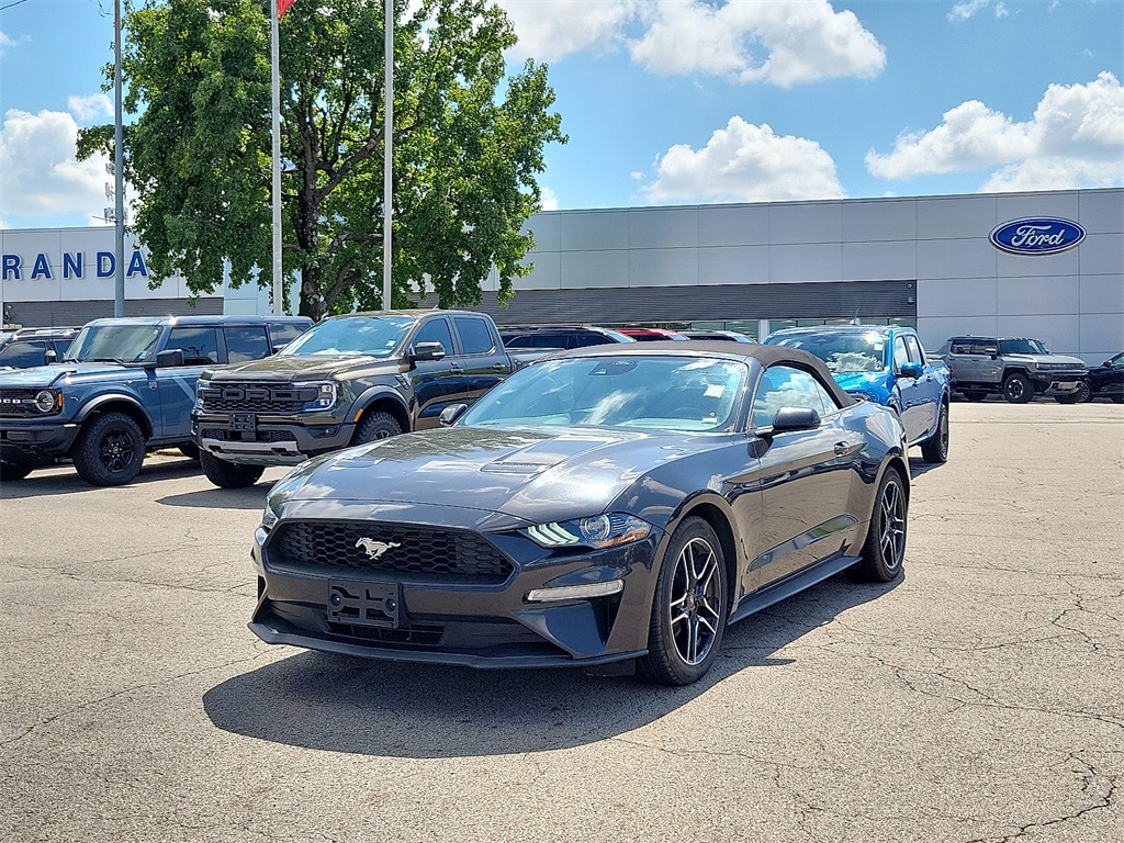 2023 Ford Mustang EcoBoost Premium photo 2