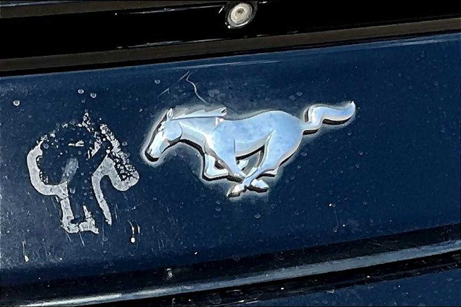 2015 Ford Mustang EcoBoost Premium photo 27