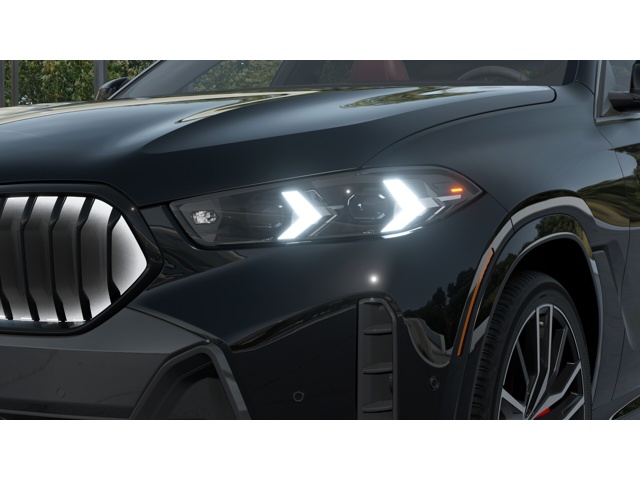 2026 Bmw X6 xDrive40i photo 6