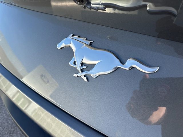 2025 Ford Mustang EcoBoost photo 29