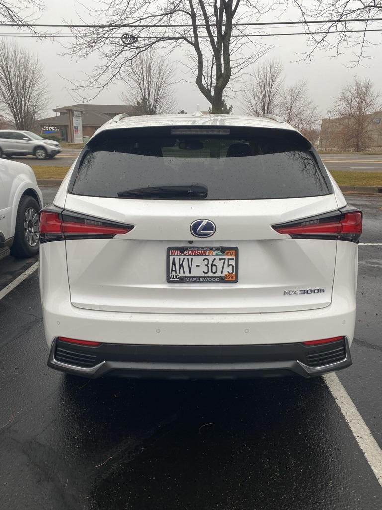 2020 Lexus NX 300h AWD photo 4