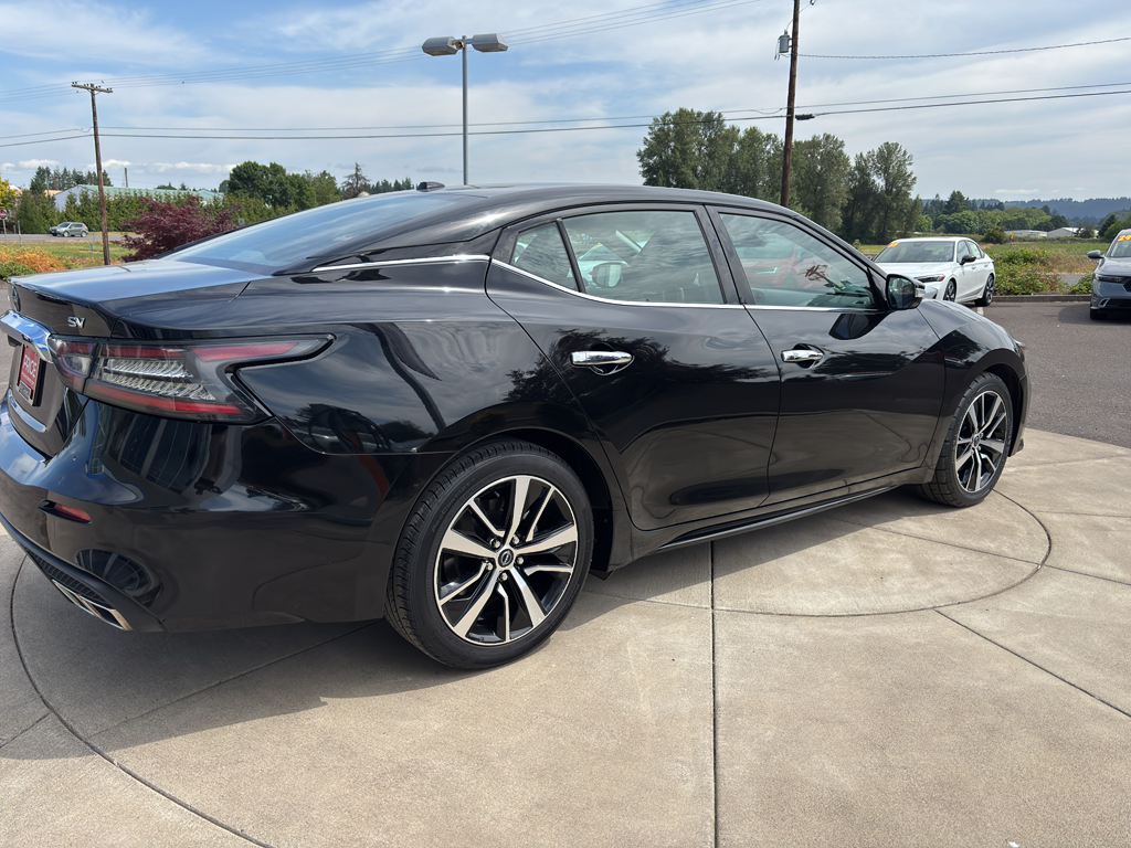2023 Nissan Maxima SV photo 4