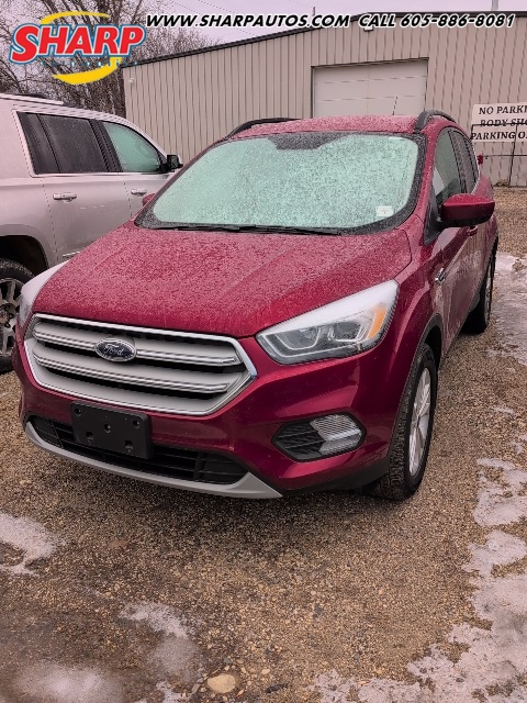 2019 Ford Escape SEL's photo