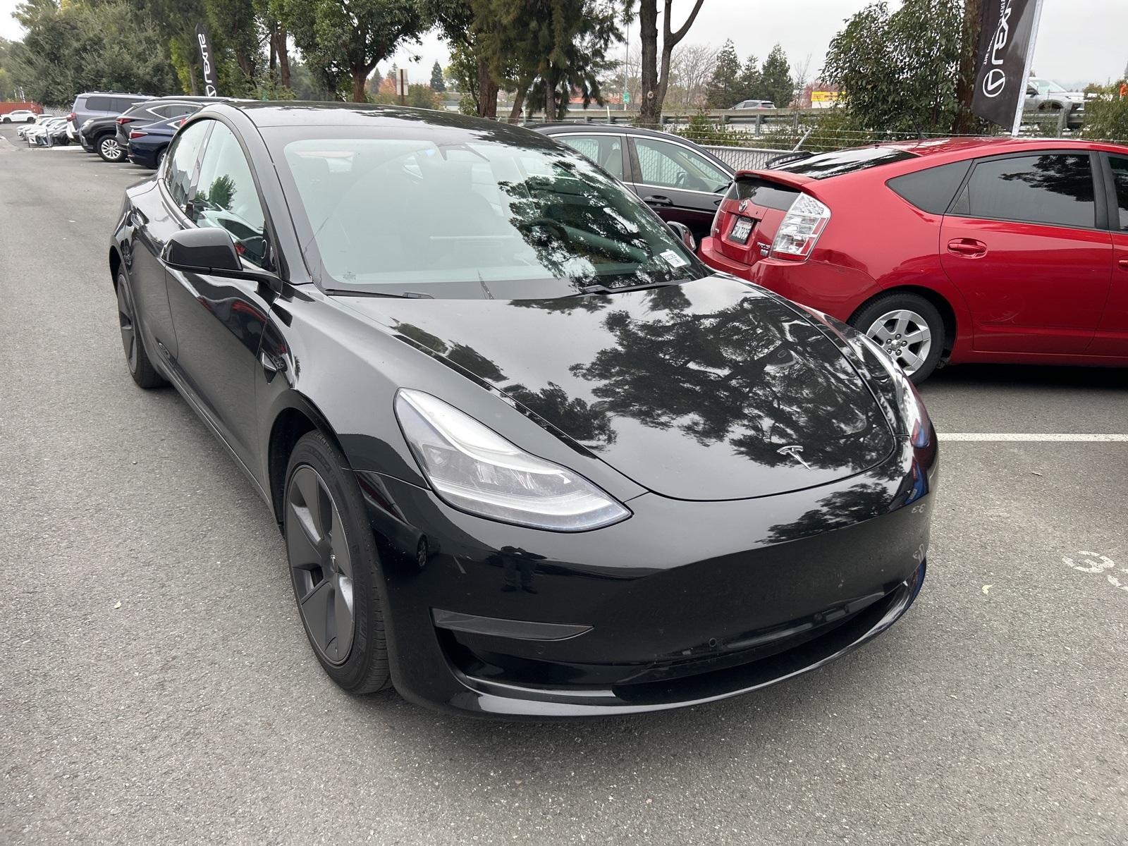 Used 2021 Tesla Model 3 Base with VIN 5YJ3E1EA4MF997775 for sale in Concord, CA
