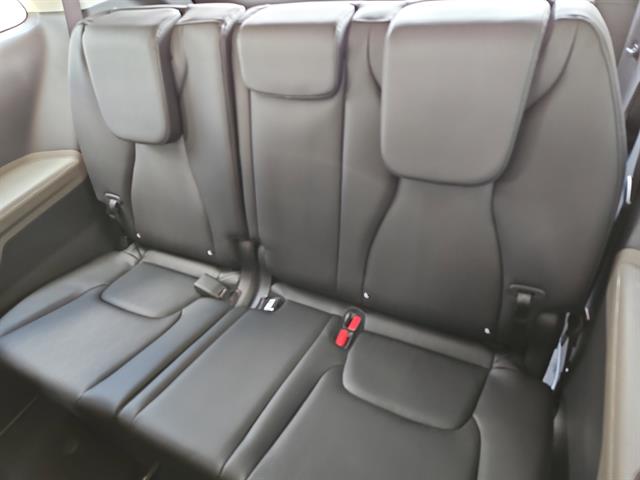 2026 Kia Carnival LXS photo 15