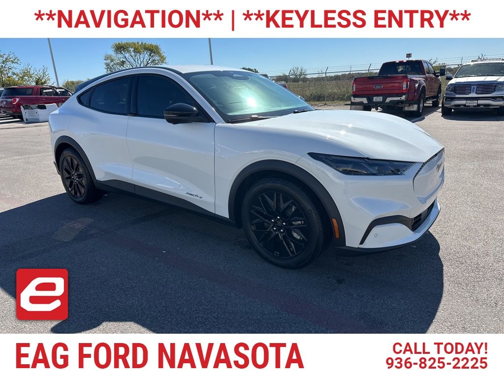 2025 Ford Mustang Mach-E Select RWD's photo