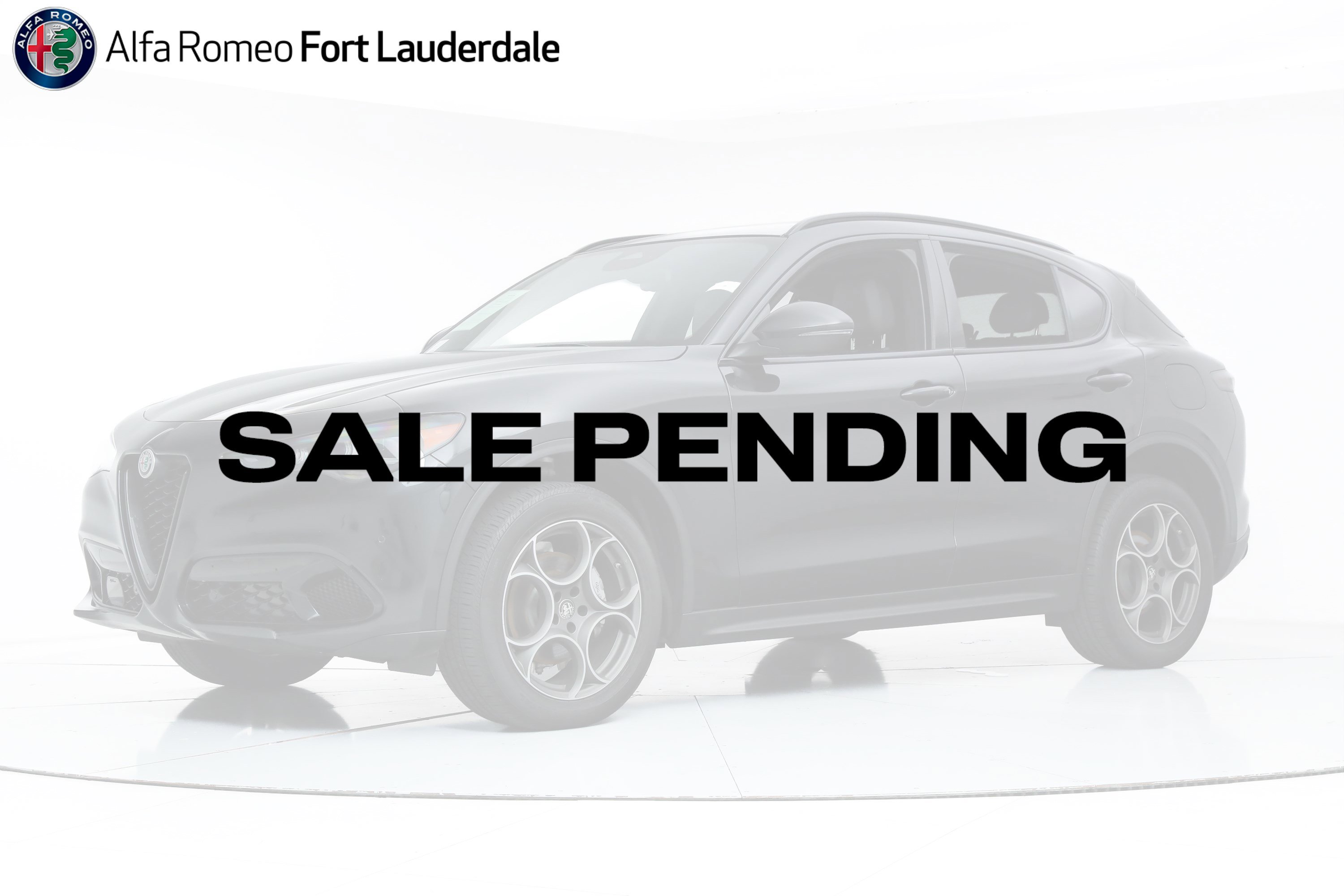 2025 Alfa Romeo Stelvio Base's photo