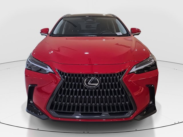 2025 Lexus NX 350h Luxury AWD photo 9
