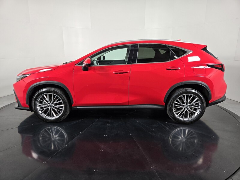 2023 Lexus NX 350 Luxury AWD photo 2