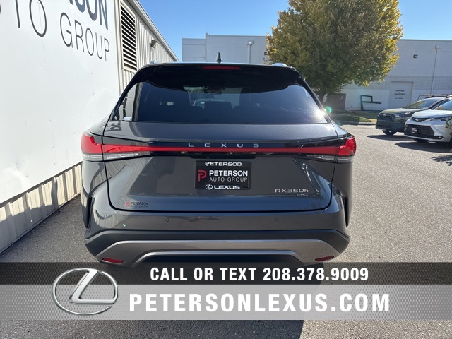 2024 Lexus RX 350h Premium photo 4