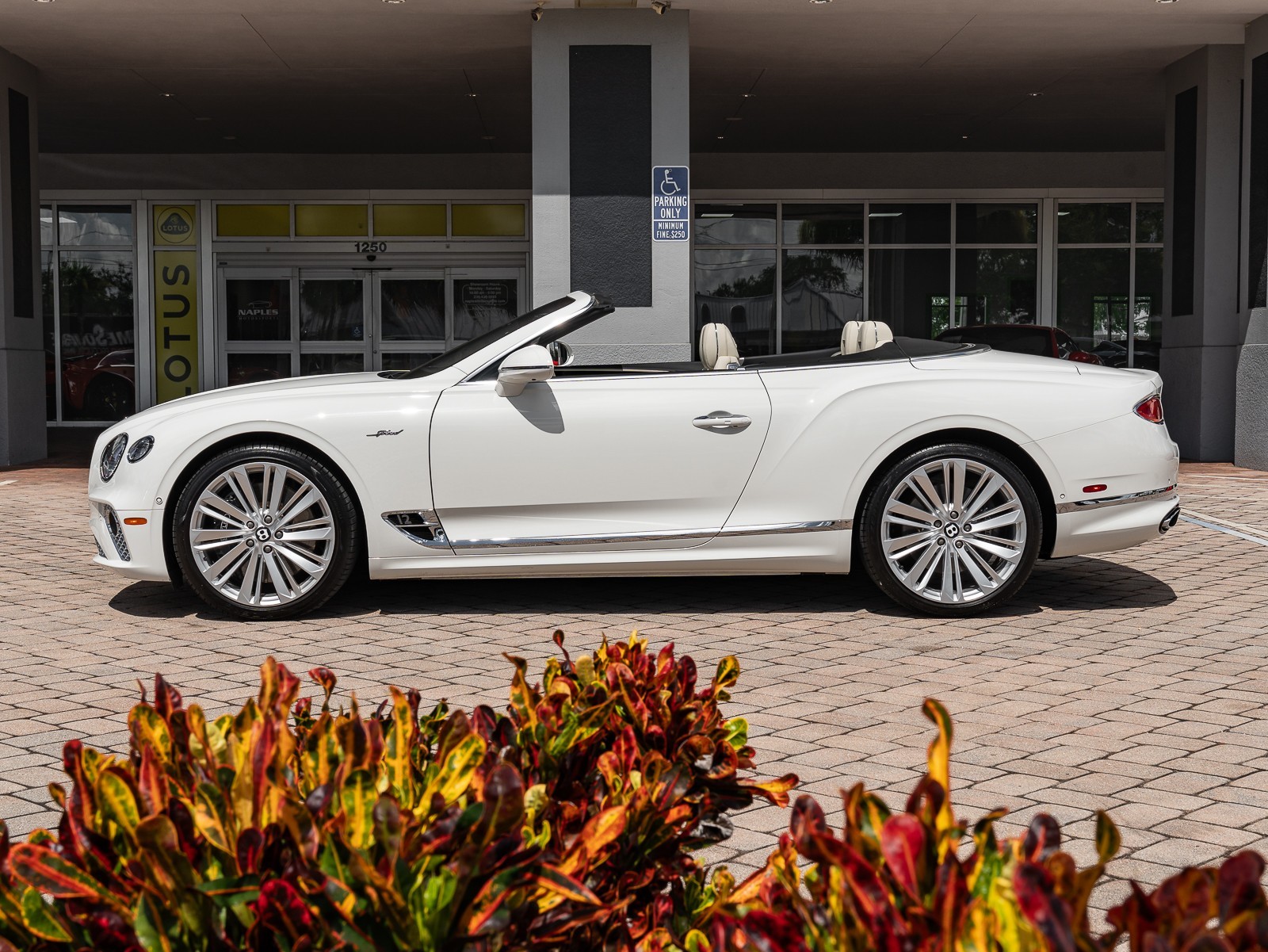 2022 Bentley Continental GTC Speed photo 7