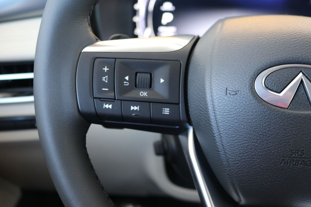 2025 Infiniti QX60 Luxe photo 39