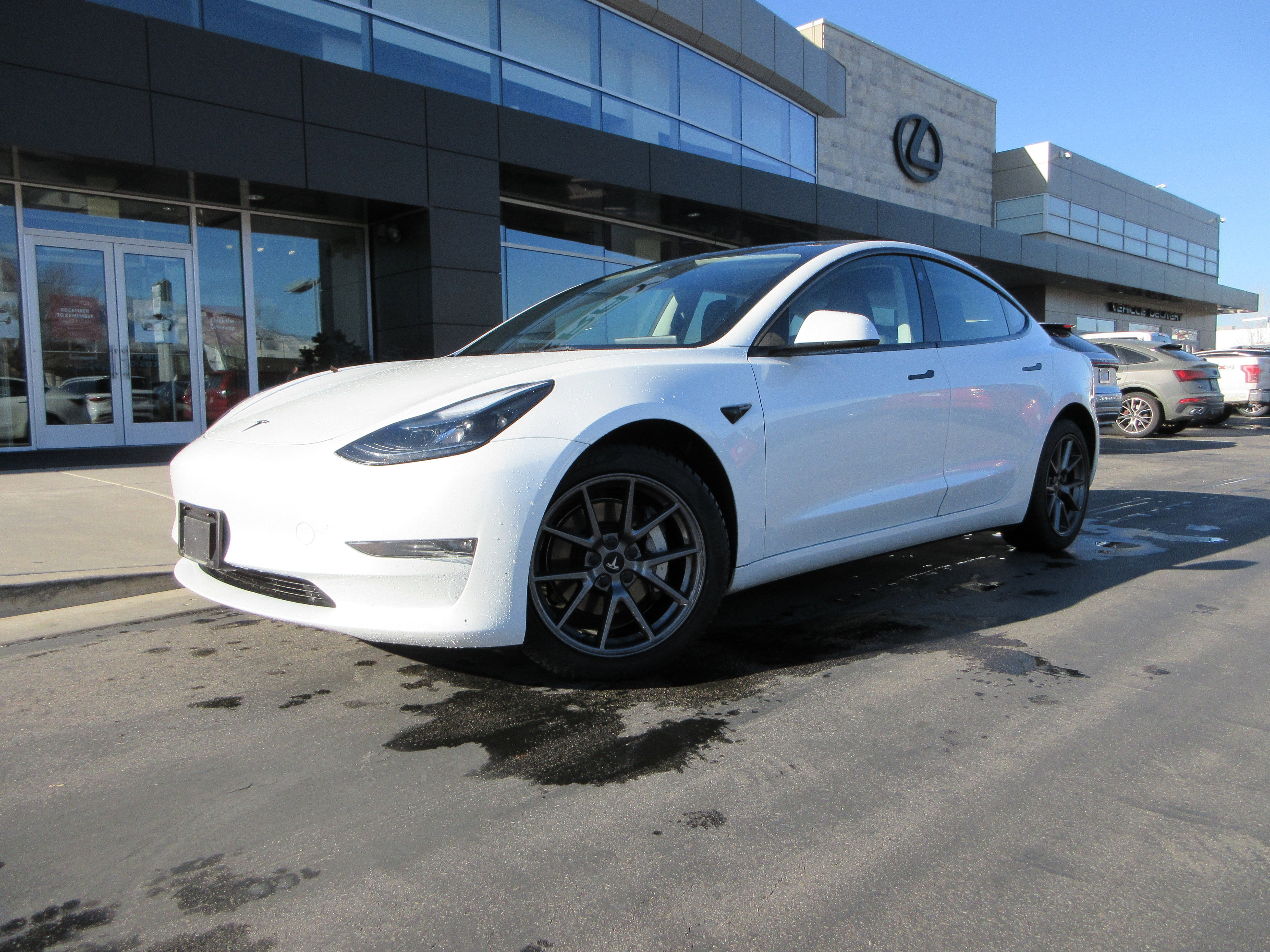 2023 Tesla Model 3 Long Range's photo