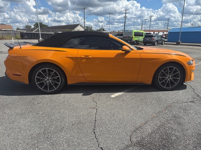 2019 Ford Mustang EcoBoost Premium photo 2