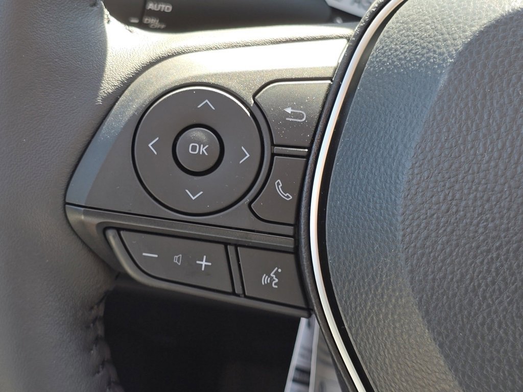 2025 Toyota RAV4 XLE photo 10