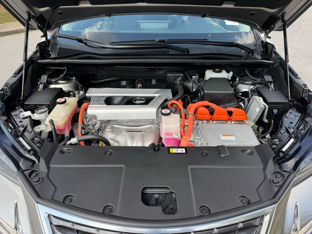 2019 Lexus NX 300h Luxury photo 16