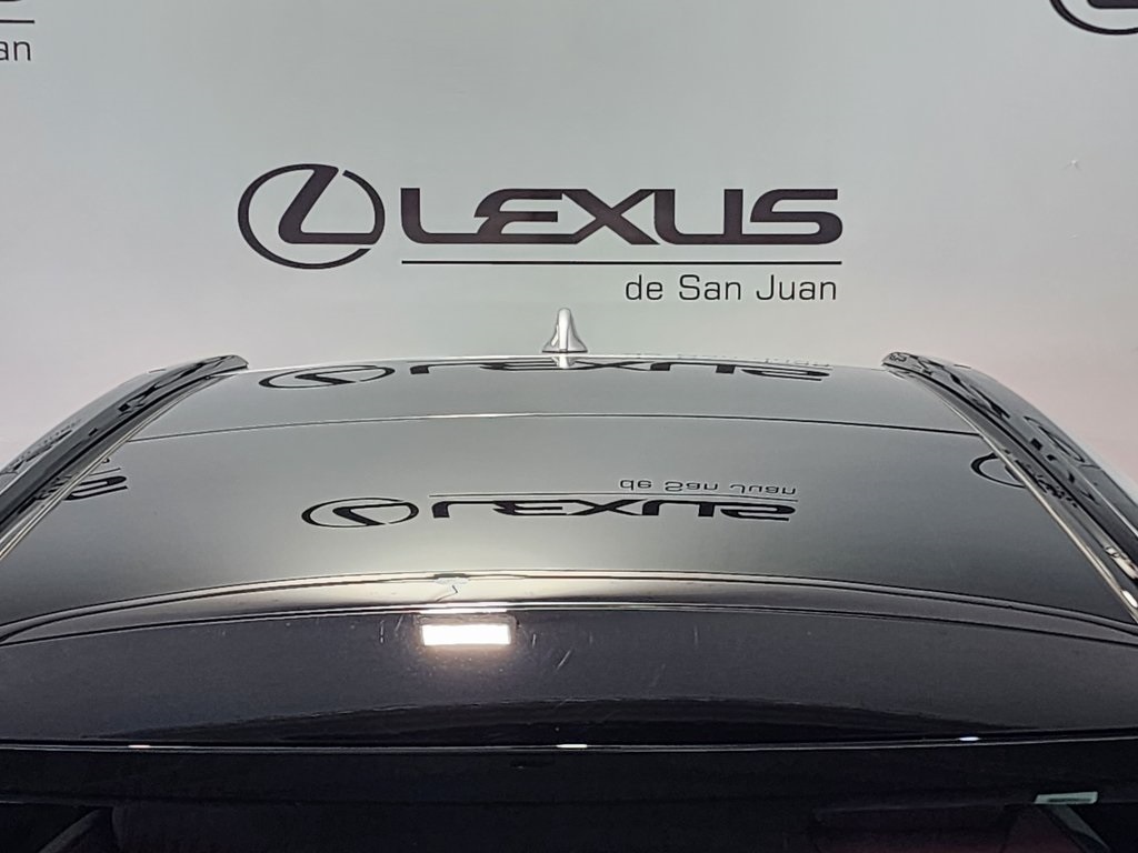 2025 Lexus RX 350 photo 6