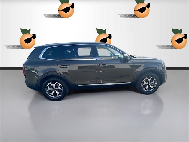 2022 Kia Telluride EX photo 6