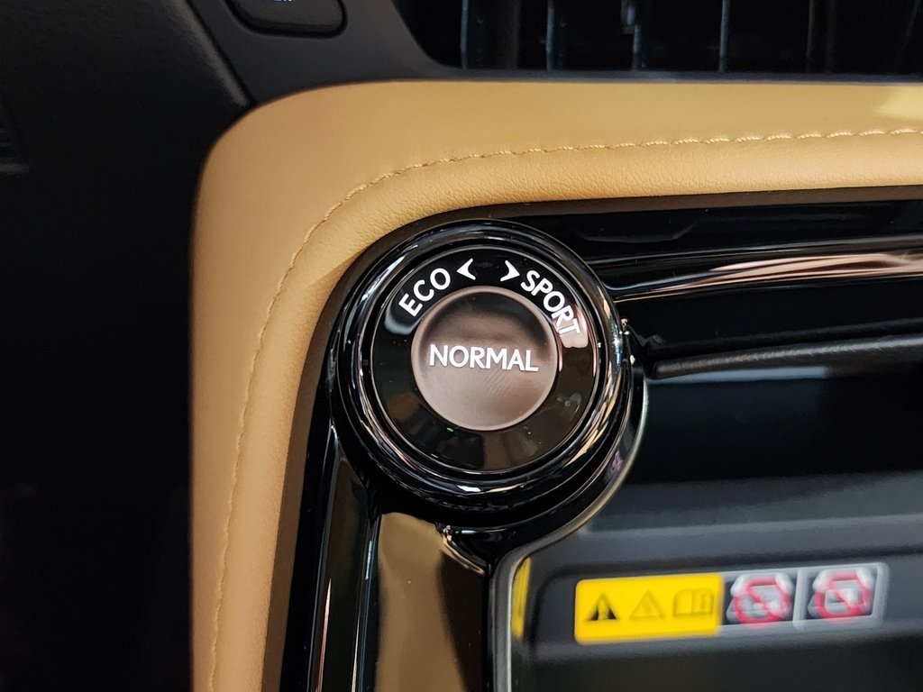 2025 Lexus NX 350h Premium AWD photo 20