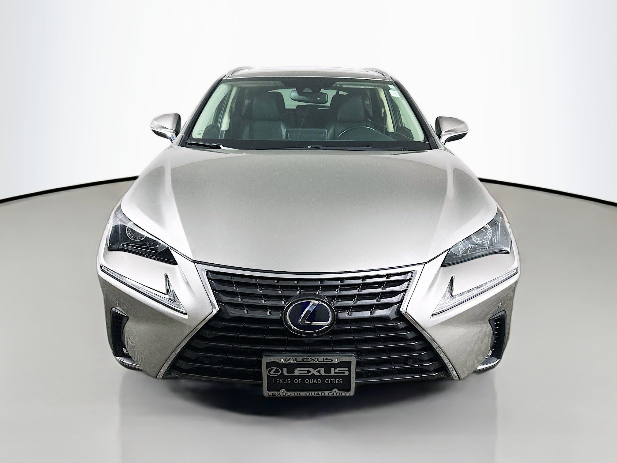 2020 Lexus NX 300h Premium photo 2