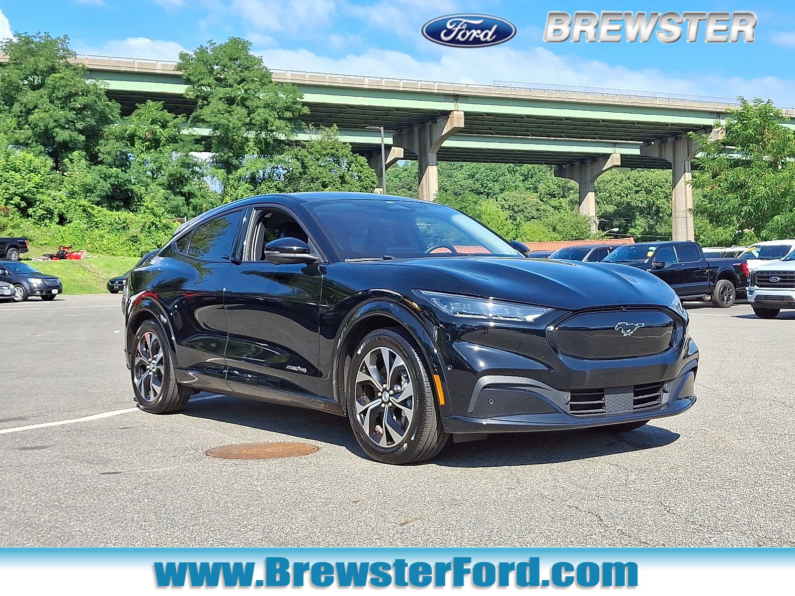 Used 2021 Ford Mustang Mach-E Premium AWD with VIN 3FMTK3SS5MMA66677 for sale in Brewster, NY