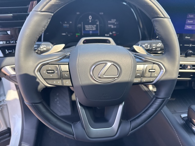 2025 Lexus RX 350 Premium AWD photo 31