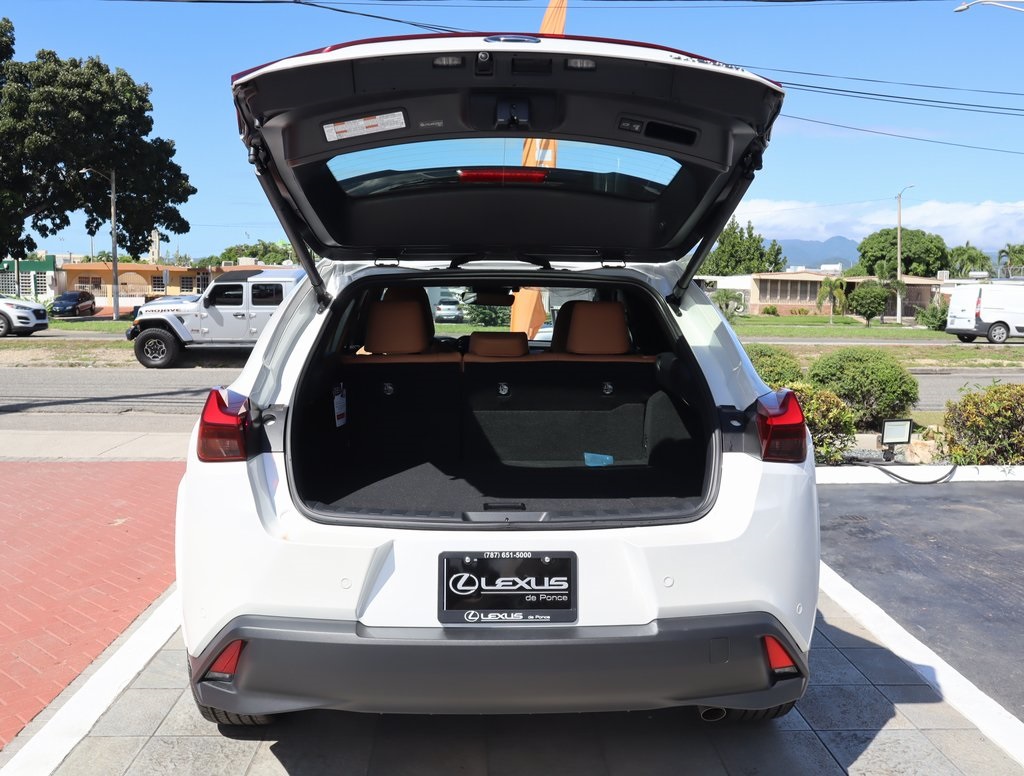 2025 Lexus UX photo 14
