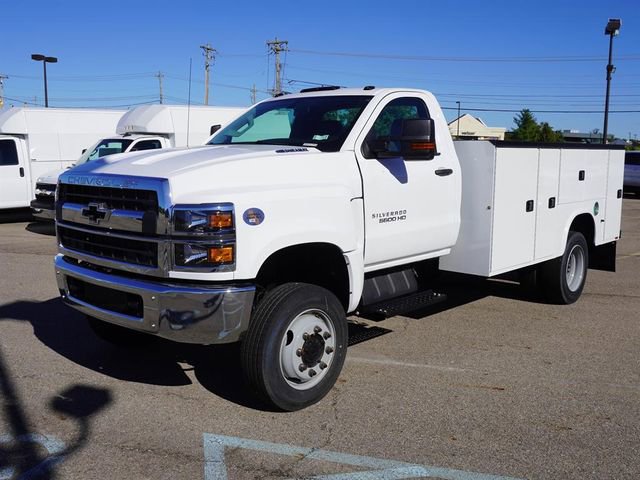 2024 Chevrolet Silverado 4500 Medium Duty Chassis Cab Work Truck's photo