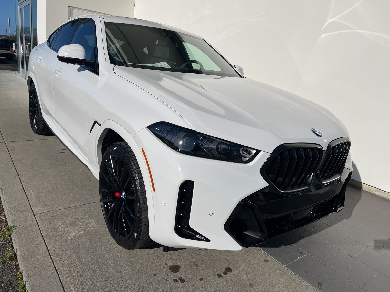 2026 BMW X6 40i's photo