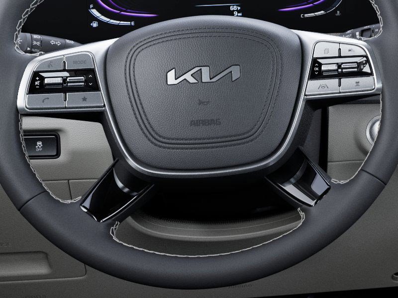 2025 Kia Telluride EX photo 19