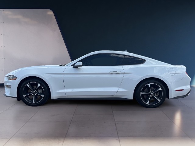 2023 Ford Mustang EcoBoost photo 2